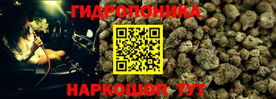 ешки Камень-на-Оби