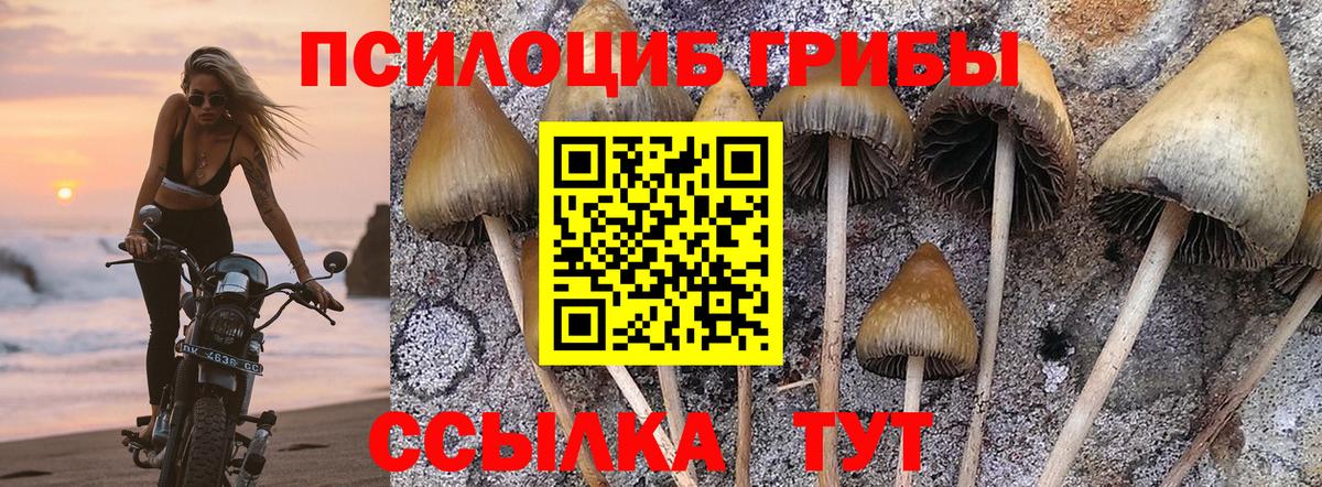 Саратов  Псилоцибиновые грибы GOLDEN TEACHER  Вход с VPN 