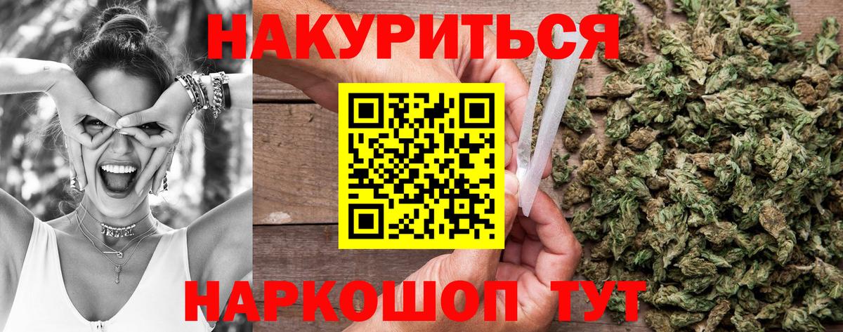 Конопля гибрид Саратов